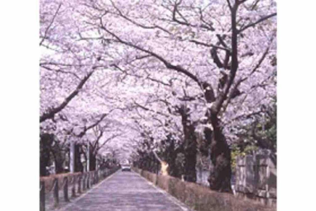 Small Villa Tokyo 渋谷まで2駅10分 青山一丁目駅徒歩3分一軒家ペット歓迎お子様歓迎駐車場あり6人までok Экстерьер фото